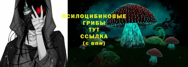 кокаин Белокуриха
