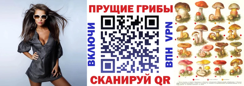 Псилоцибиновые грибы прущие грибы  Обь 