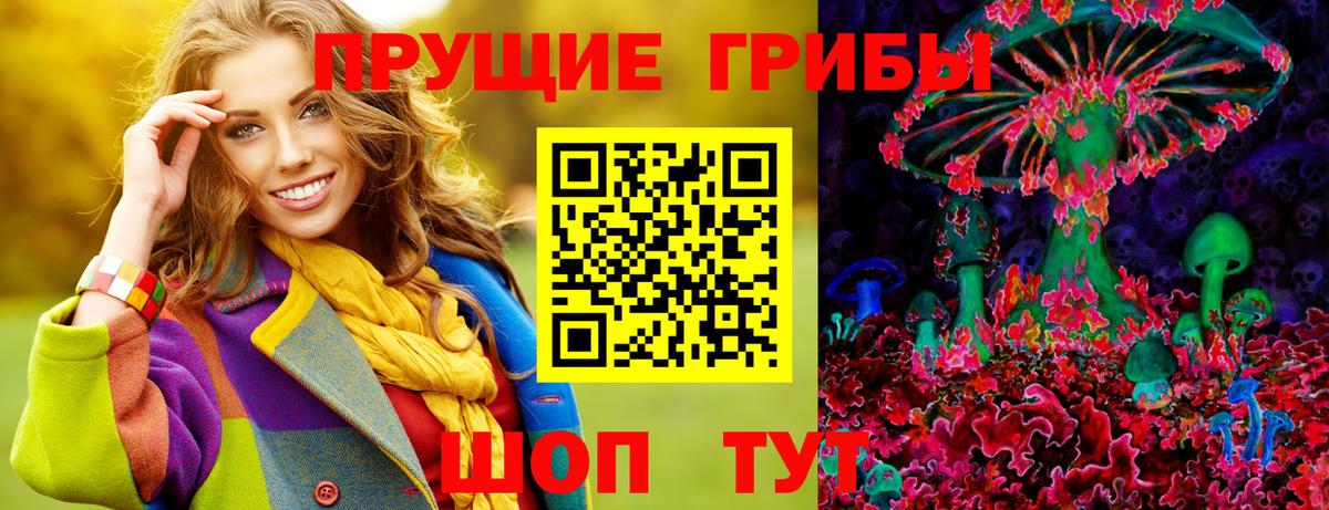 МЕФ Обь